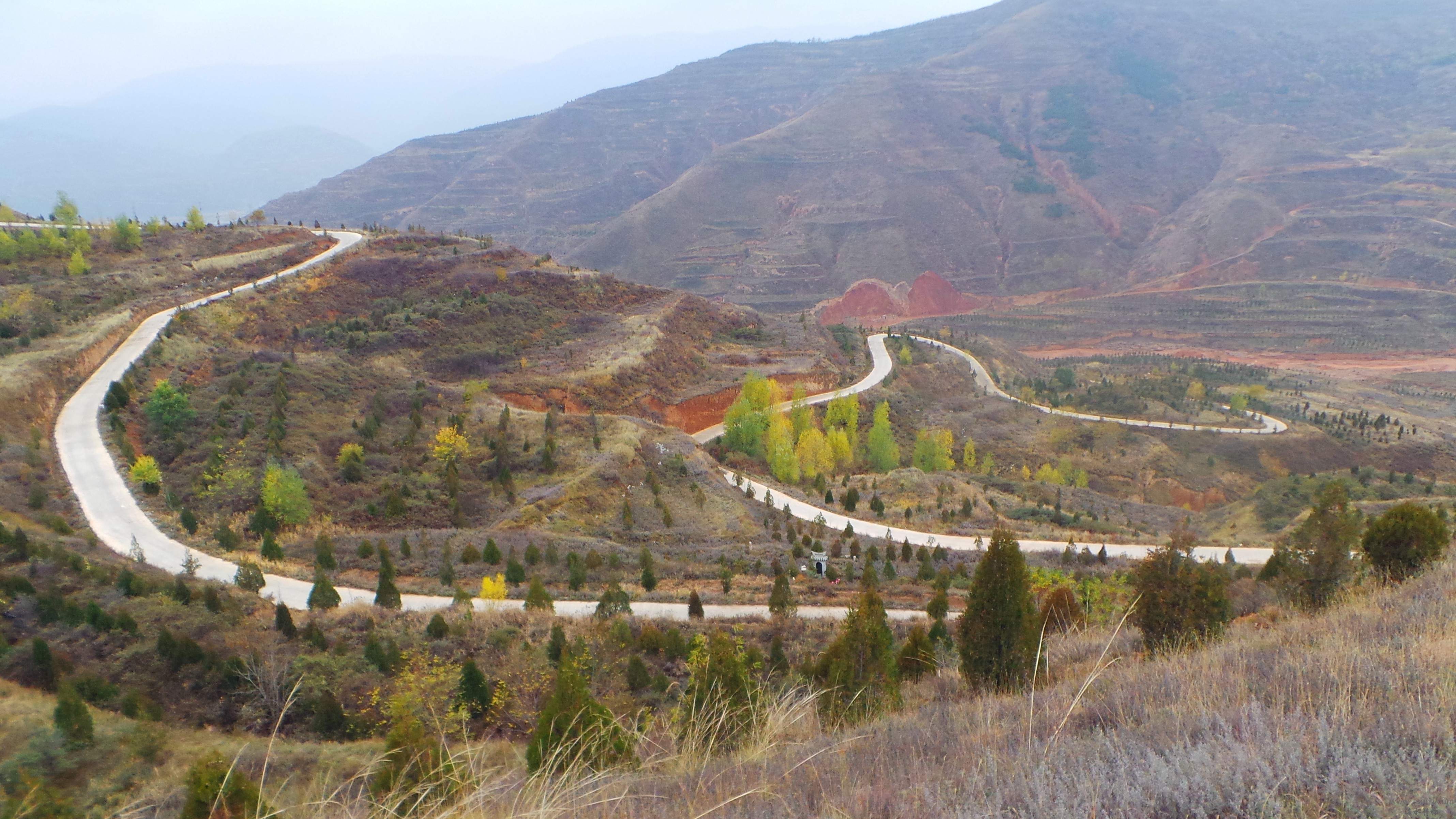 20131102_130657.JPG
