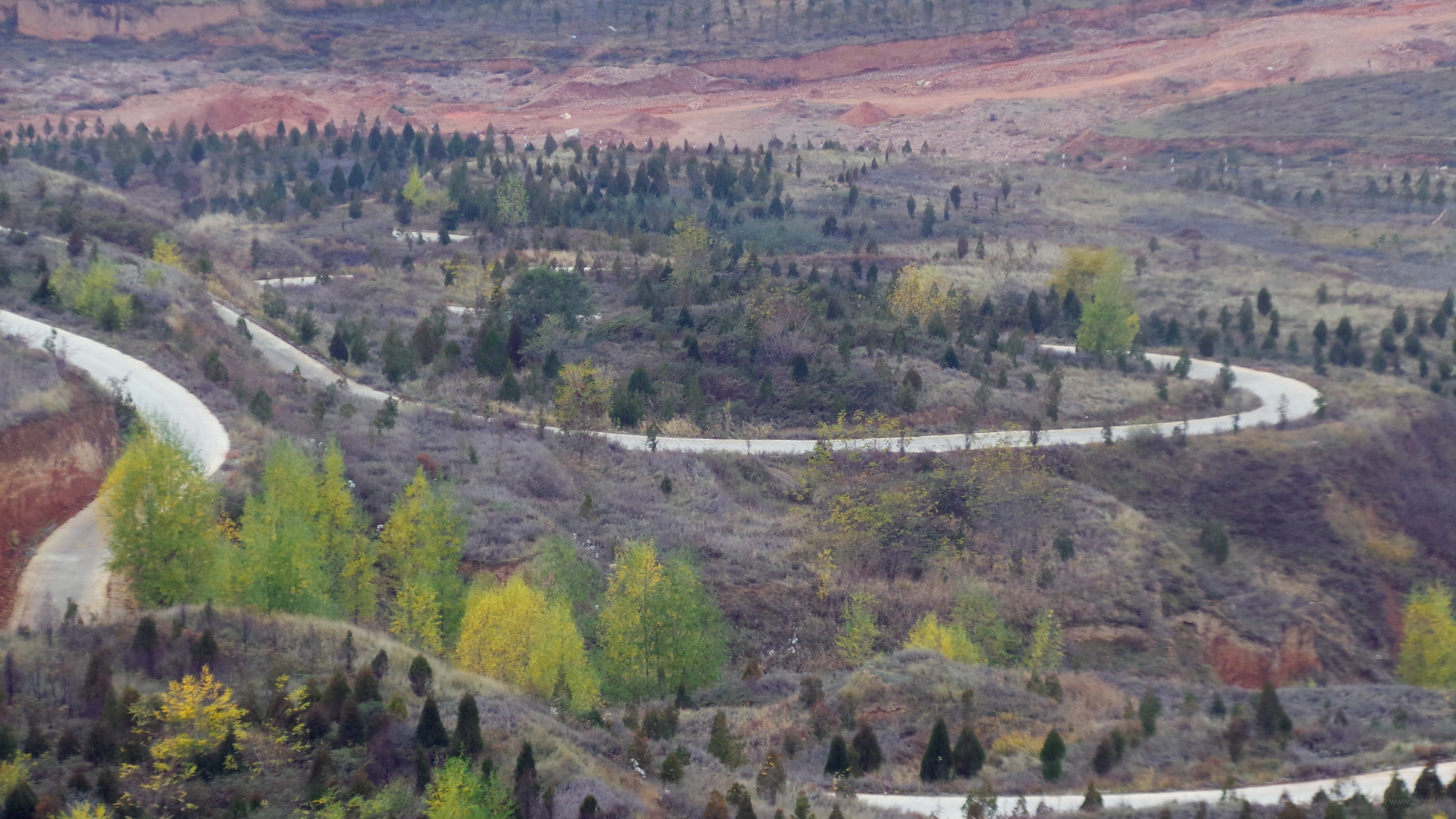 20131102_132117.JPG