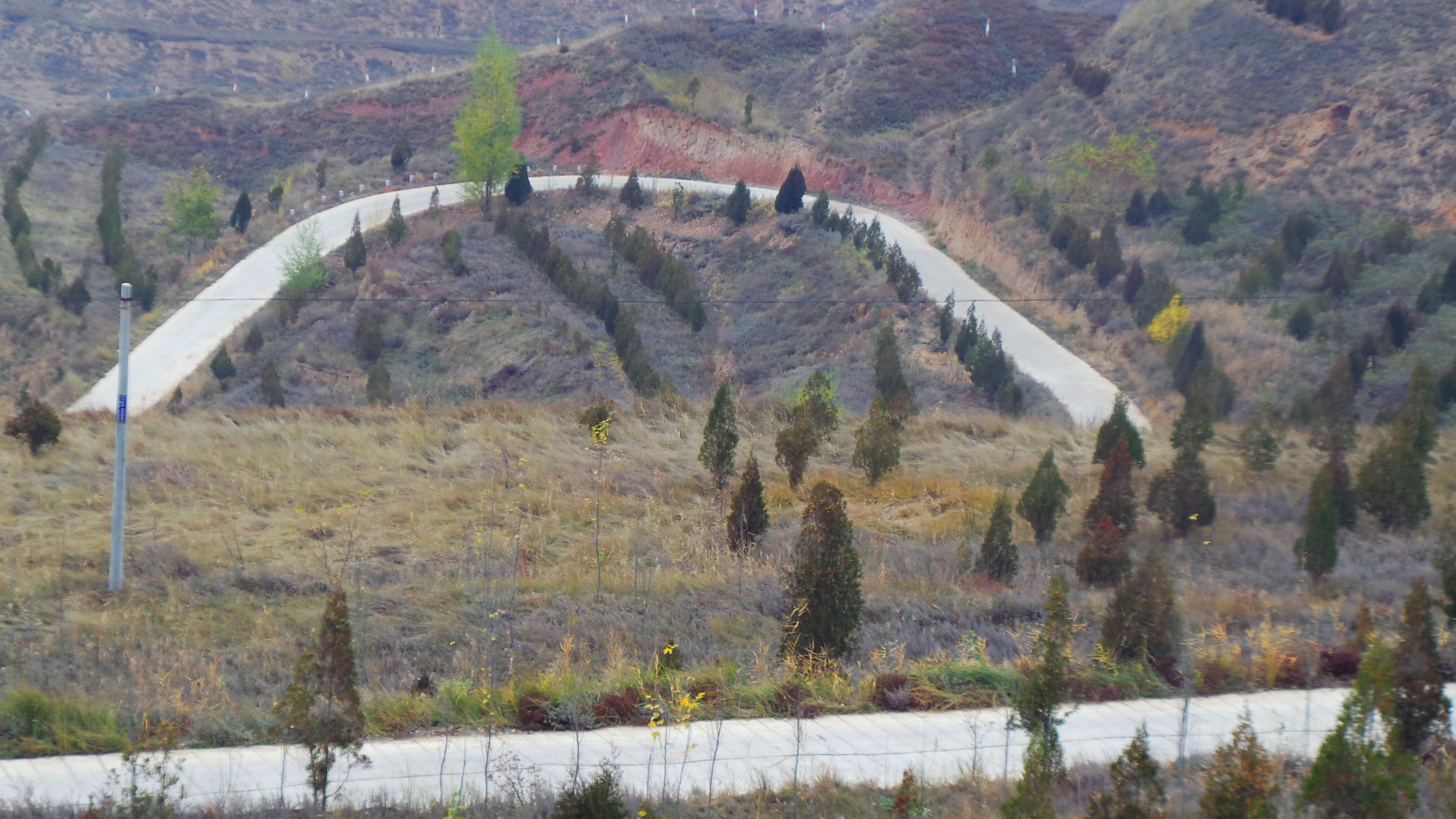 20131102_133555.JPG