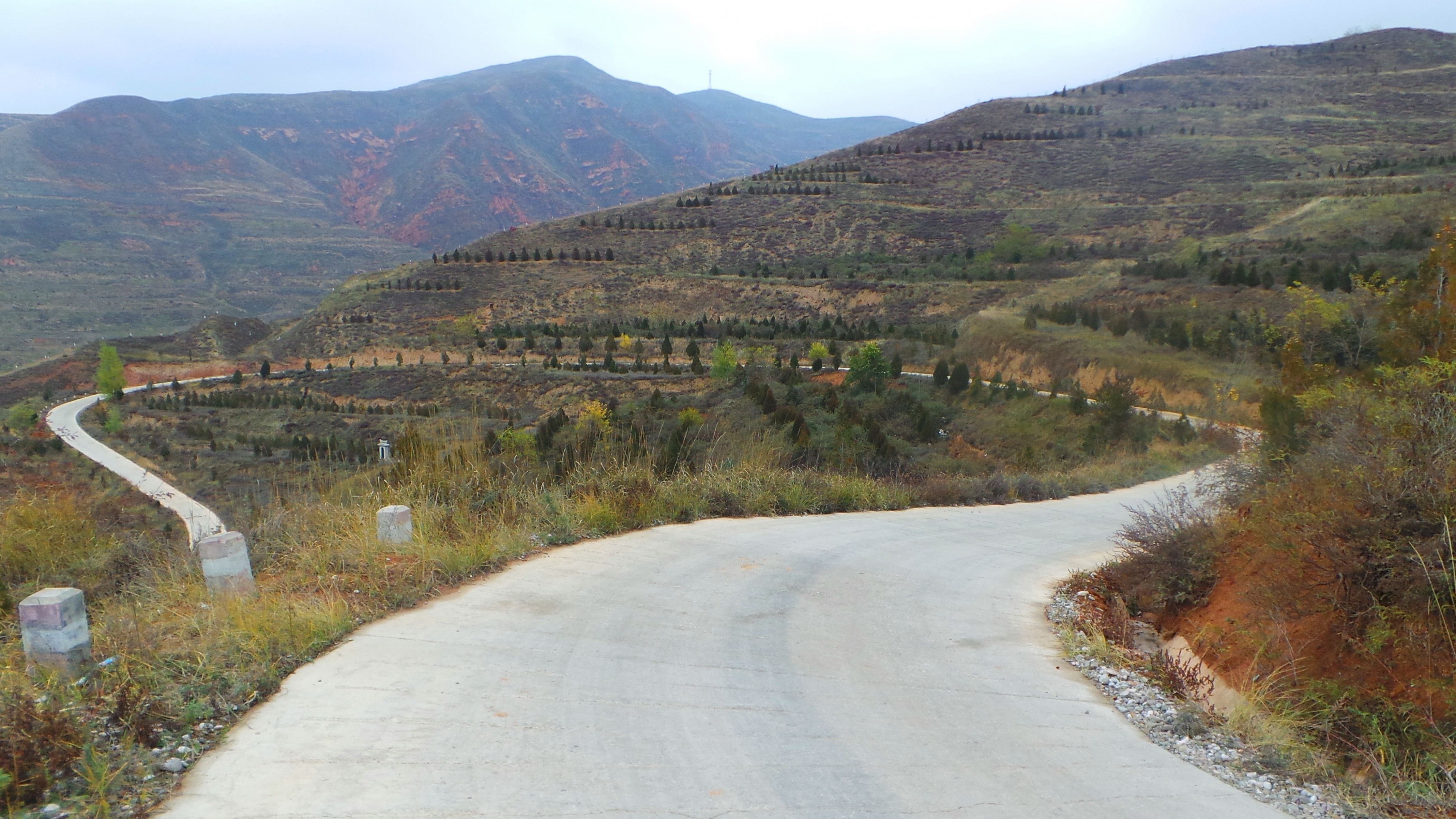 20131102_135050.JPG