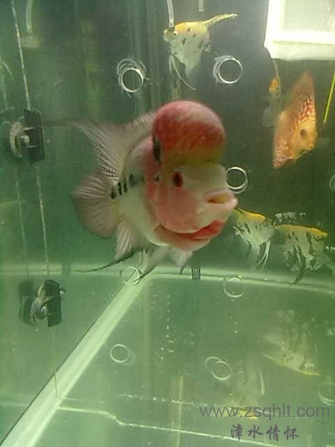 20131101404.jpg