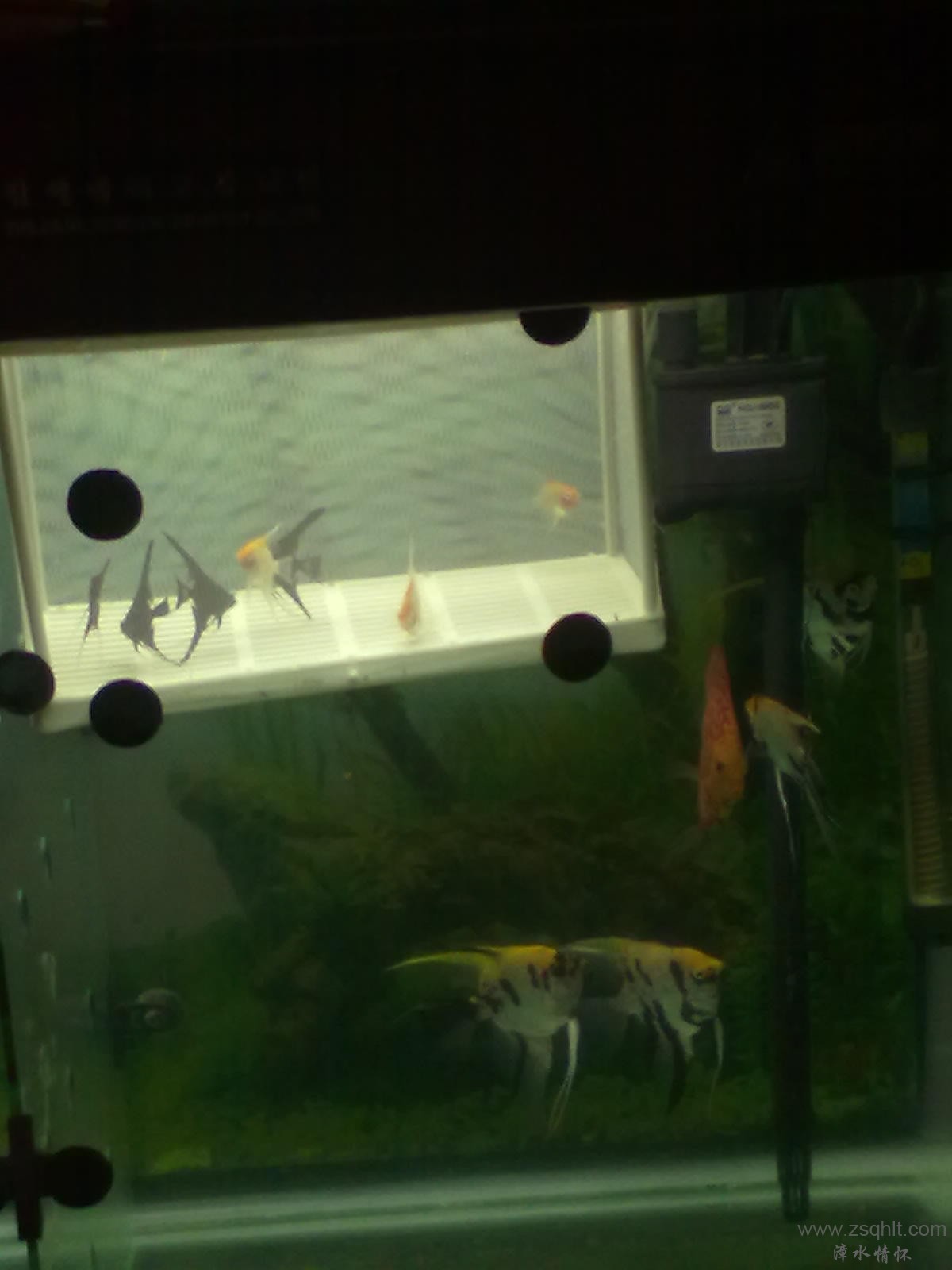 20131103416.jpg