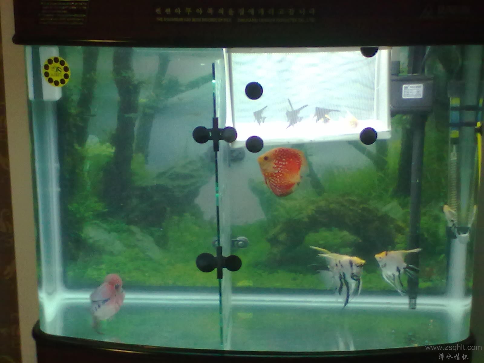 20131103405.jpg