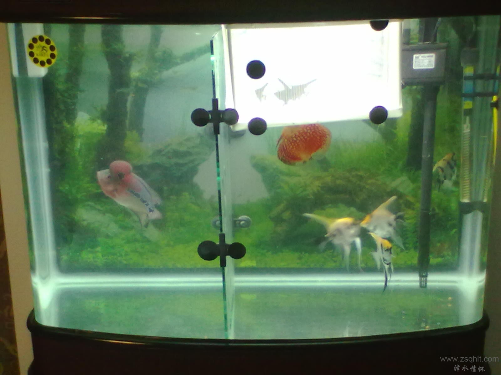 20131103406.jpg