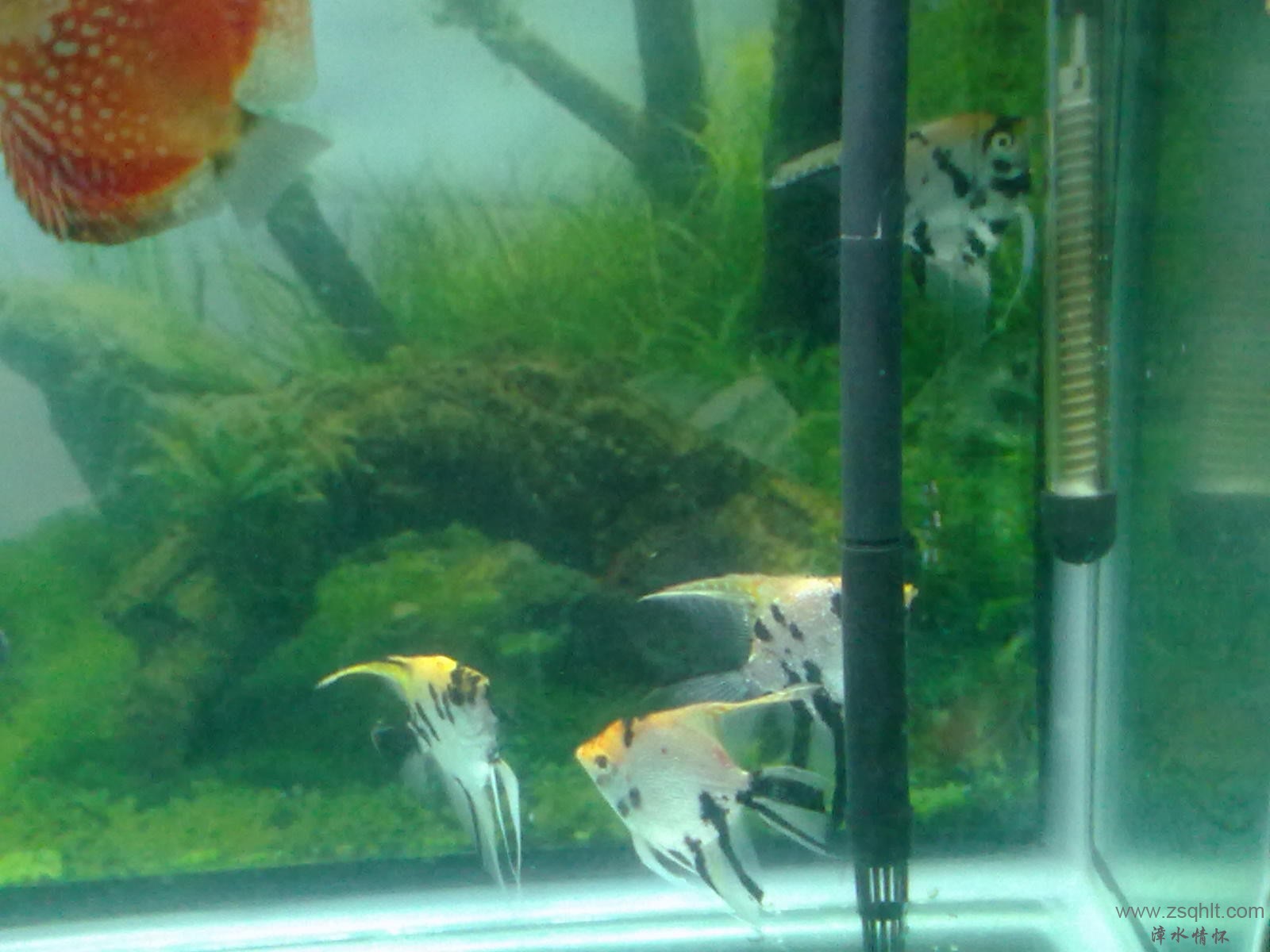 20131103409.jpg