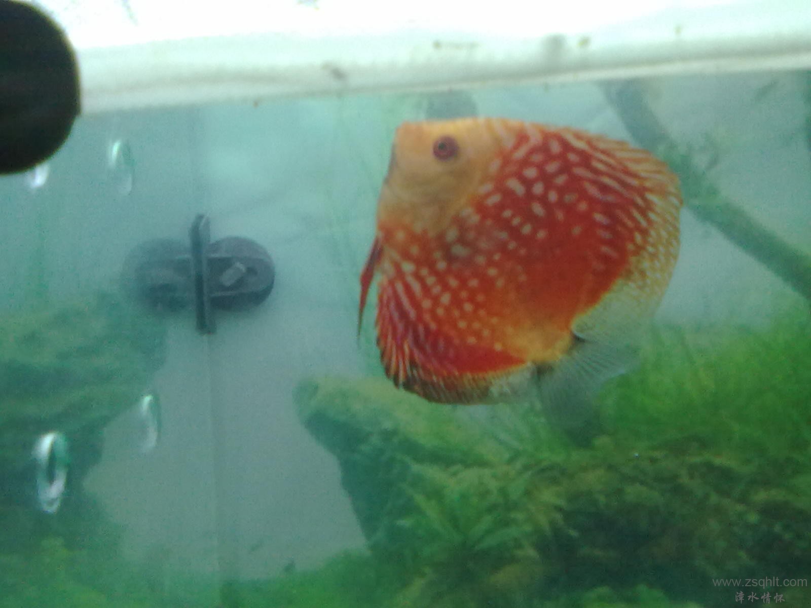 20131103410.jpg