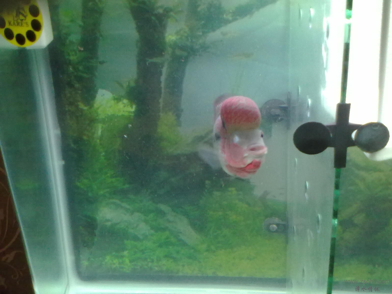 20131103411.jpg