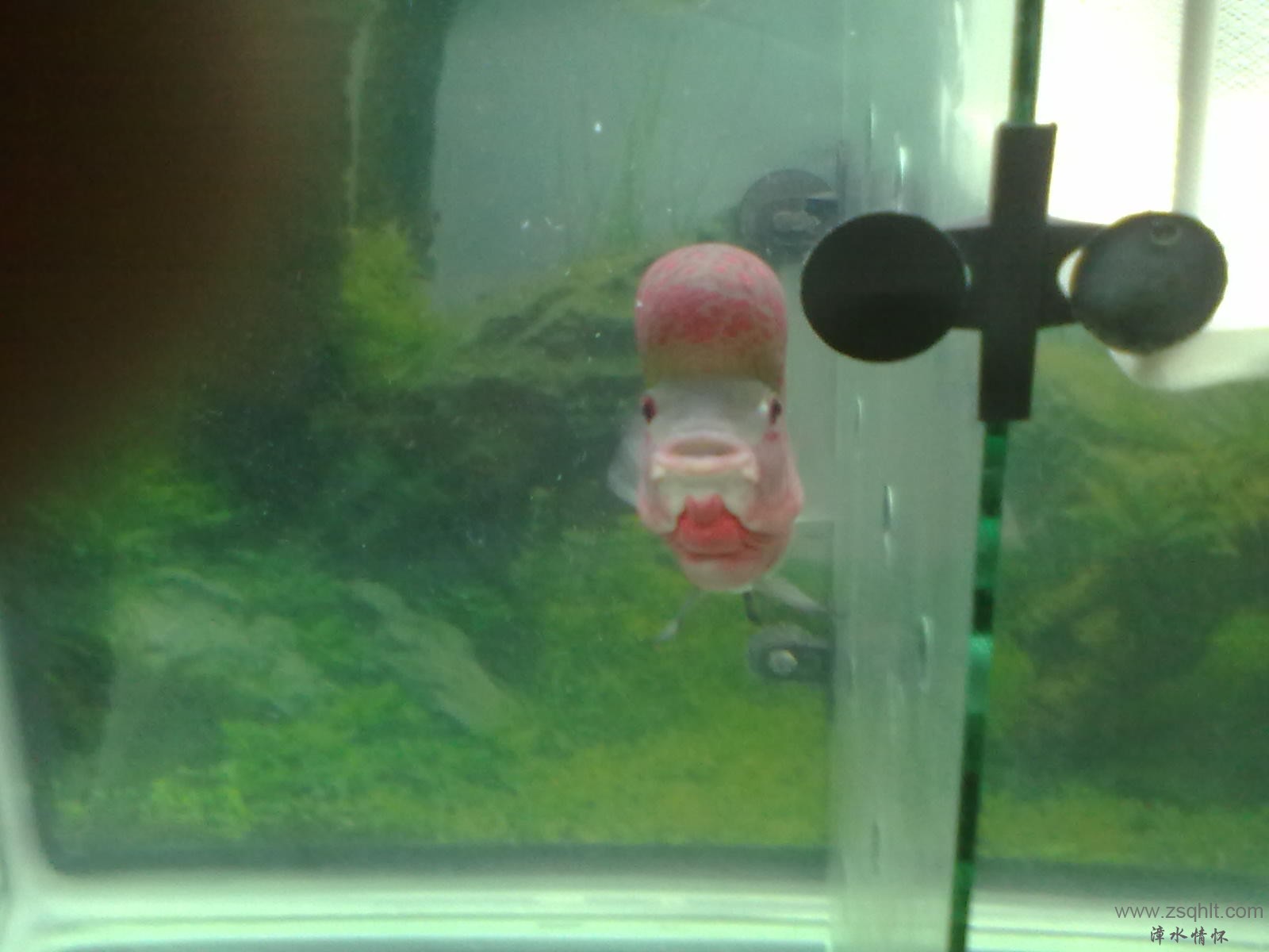 20131103412.jpg