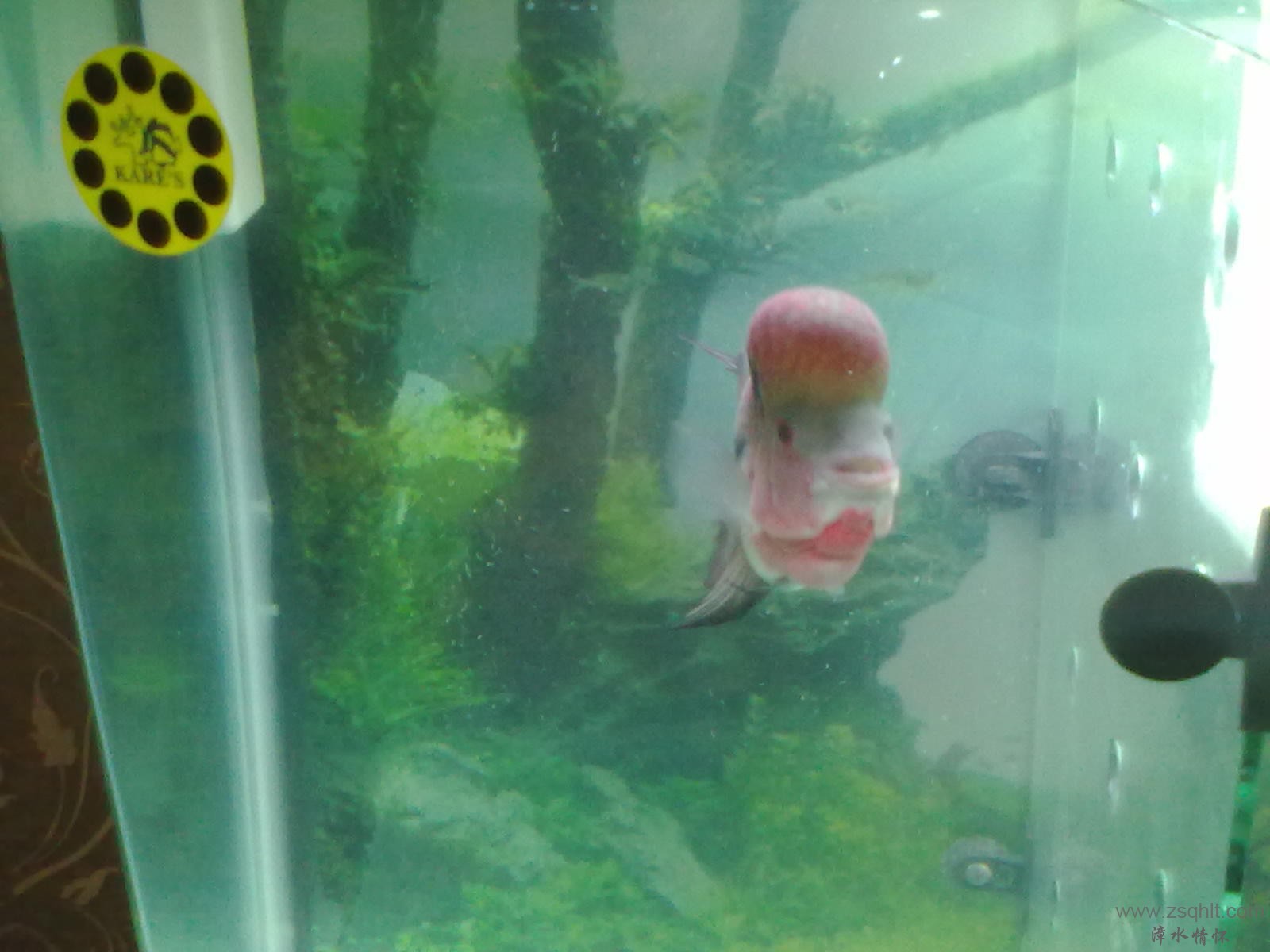 20131103413.jpg