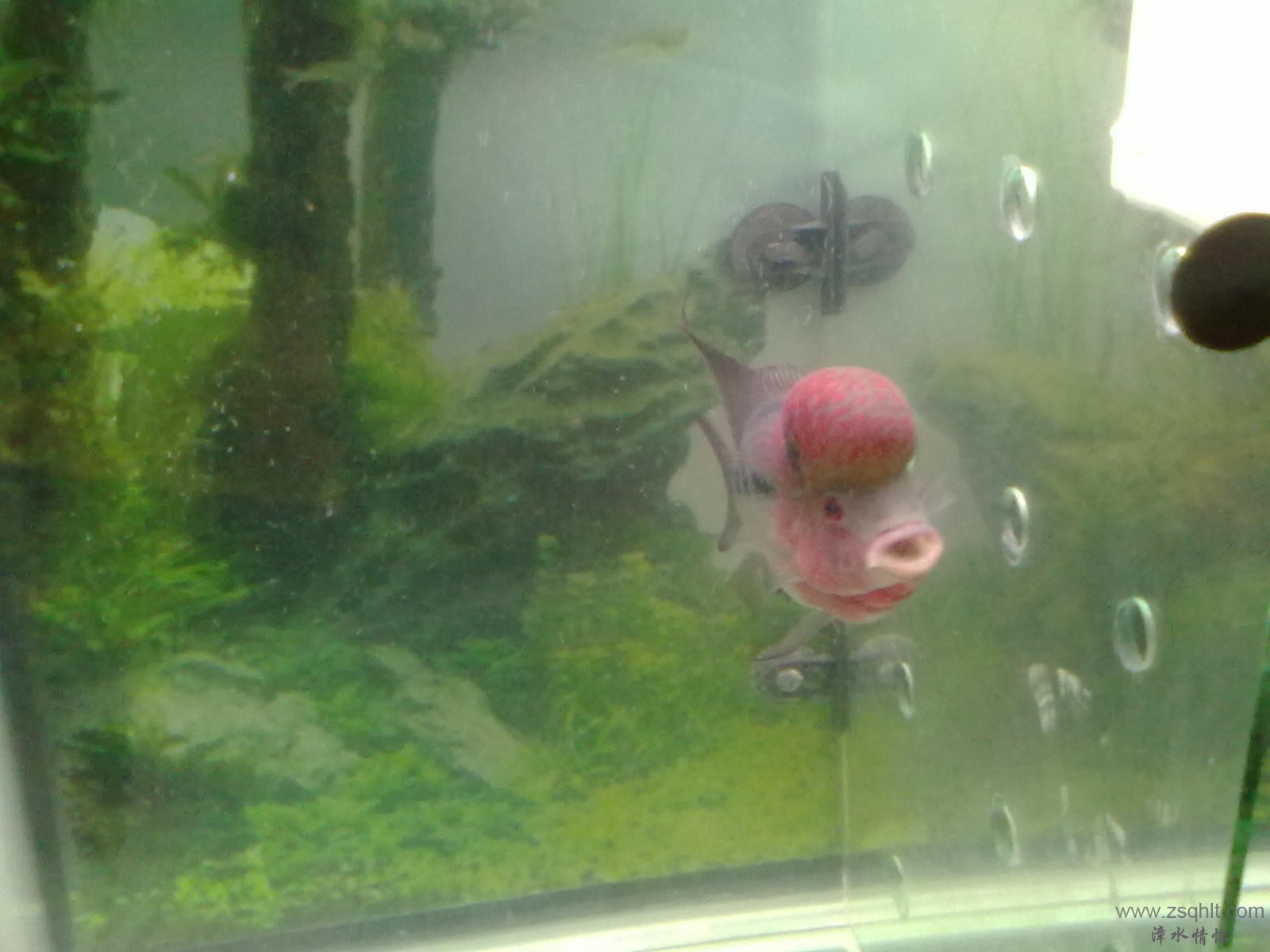 20131103414.jpg