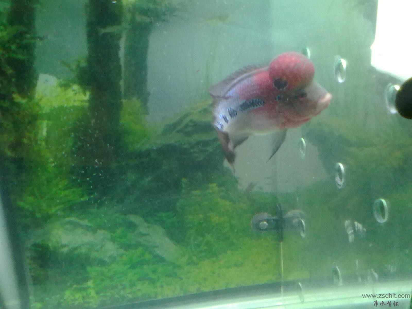 20131103415.jpg
