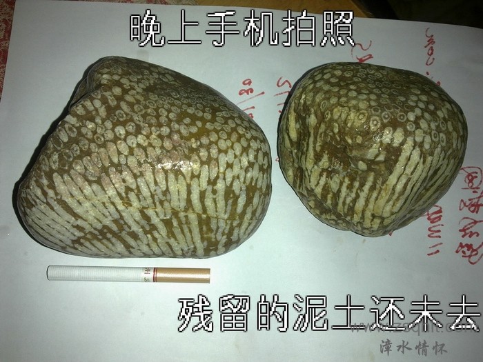ɺ (1).jpg