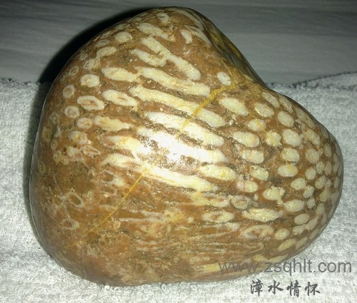 201402111175.jpg