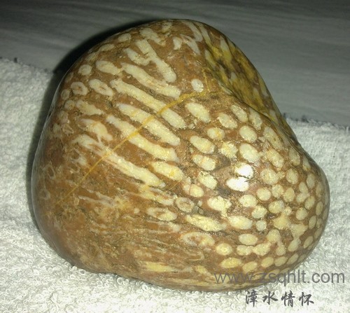 201402111176.jpg