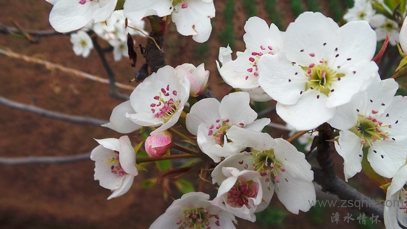 20140420_125434_.jpg