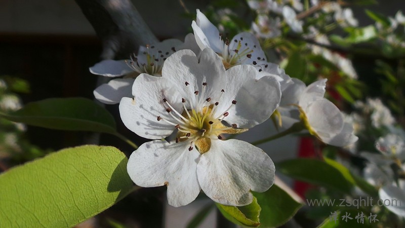 20140423_073900_.jpg