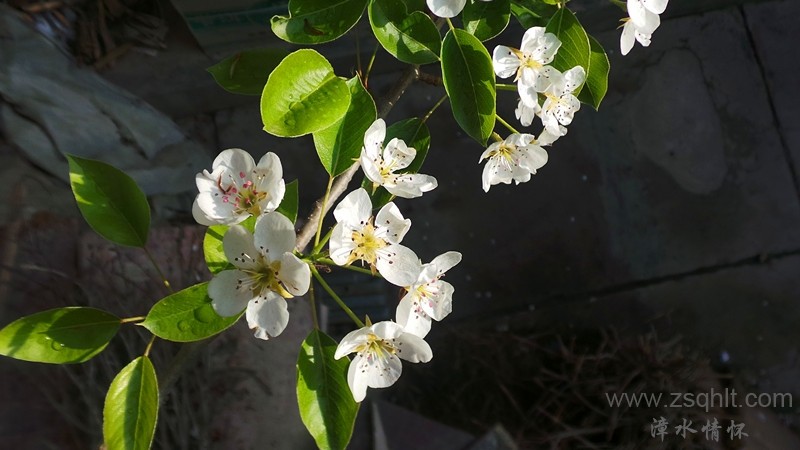 20140423_073959_.jpg
