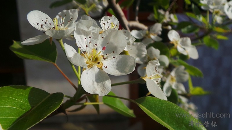 20140423_074222_.jpg