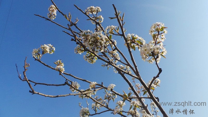 20140423_080854_.jpg