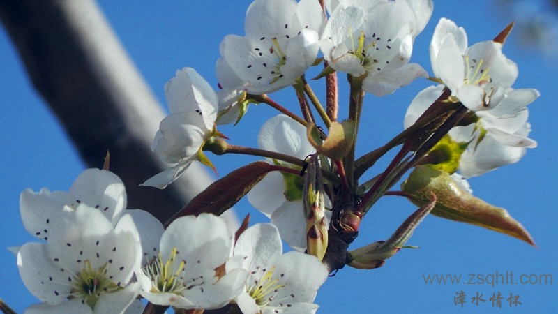 20140423_081111_.jpg