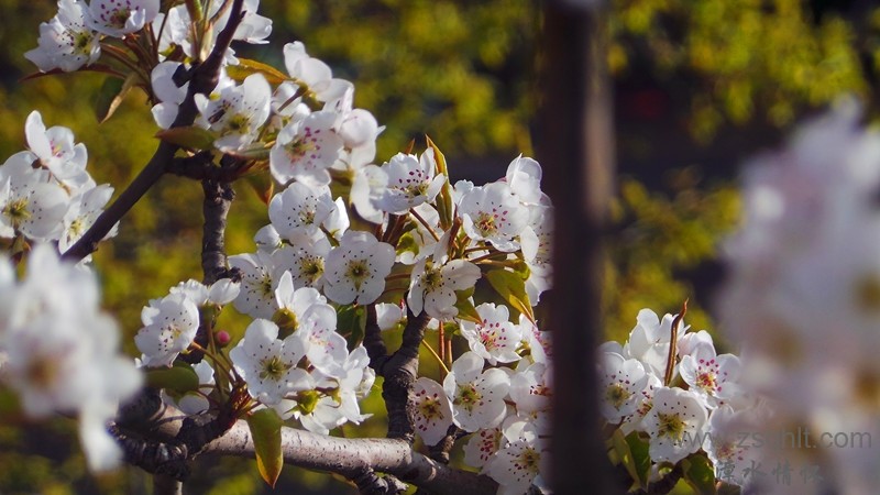 20140423_081030_.jpg