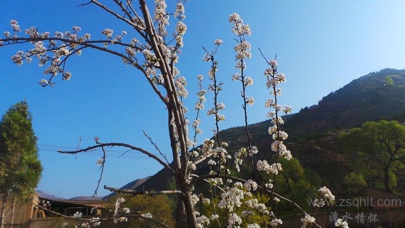 20140423_080935_.jpg
