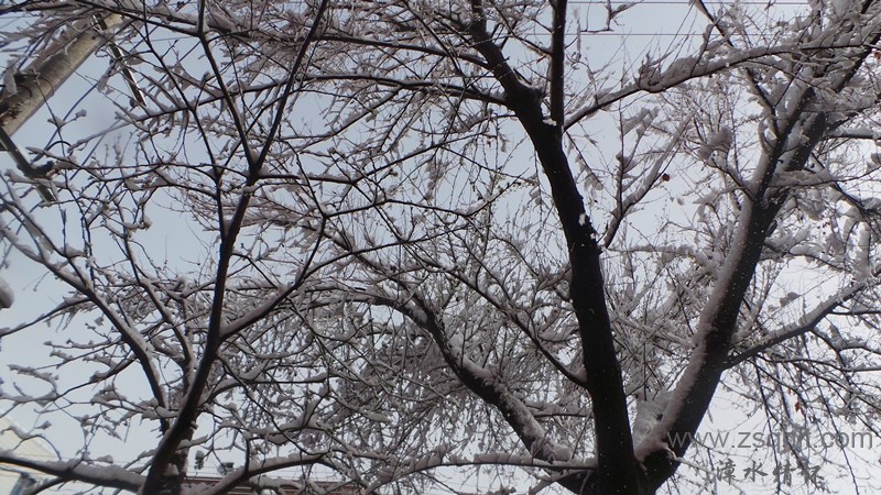 20140425_083525_.jpg