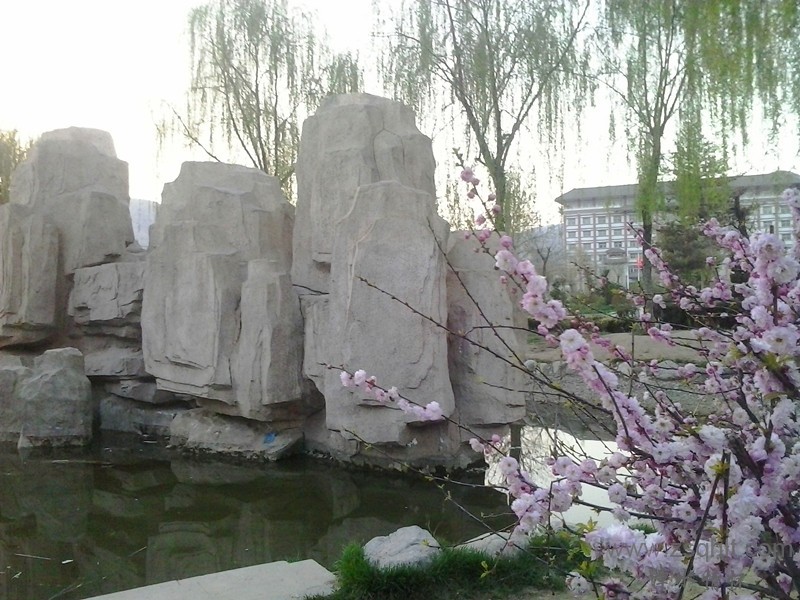 20140422_192421_.jpg