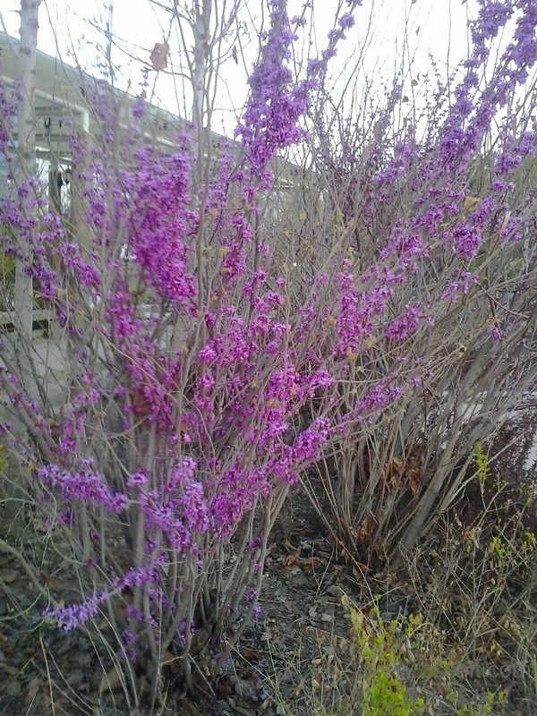 20140422_191504_.jpg