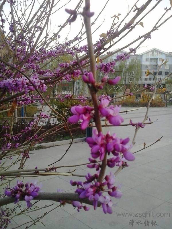 20140422_191543_.jpg