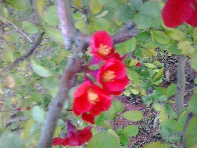 20140422_191721_.jpg