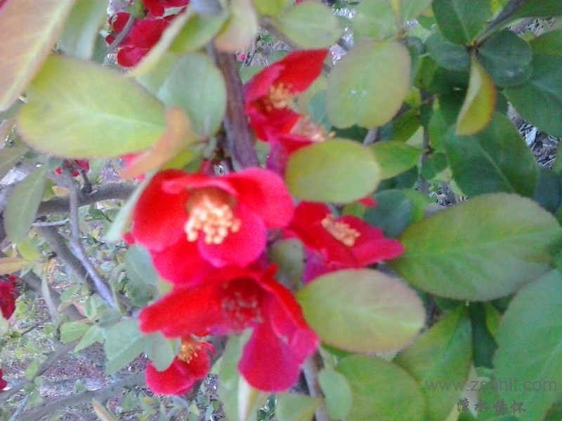 20140422_191741_.jpg