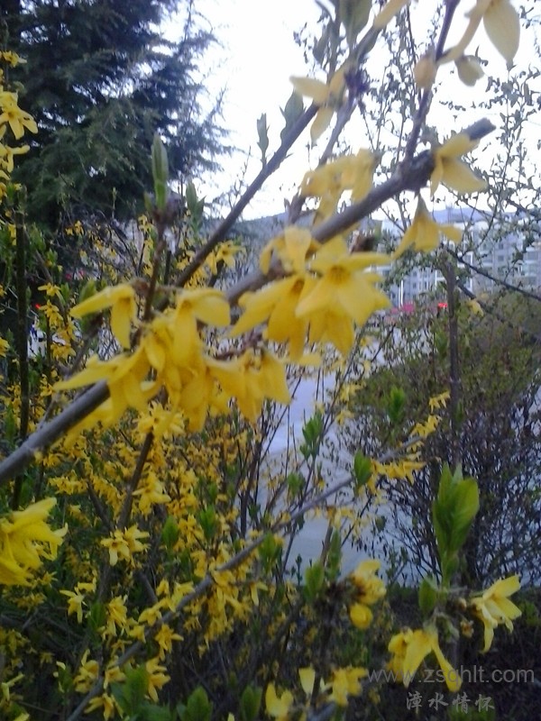 20140422_191907_.jpg