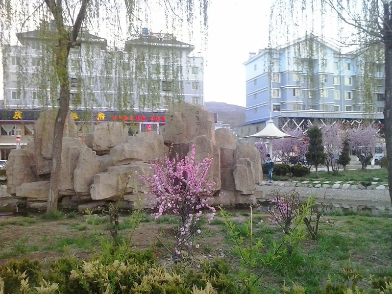 20140422_192045_.jpg