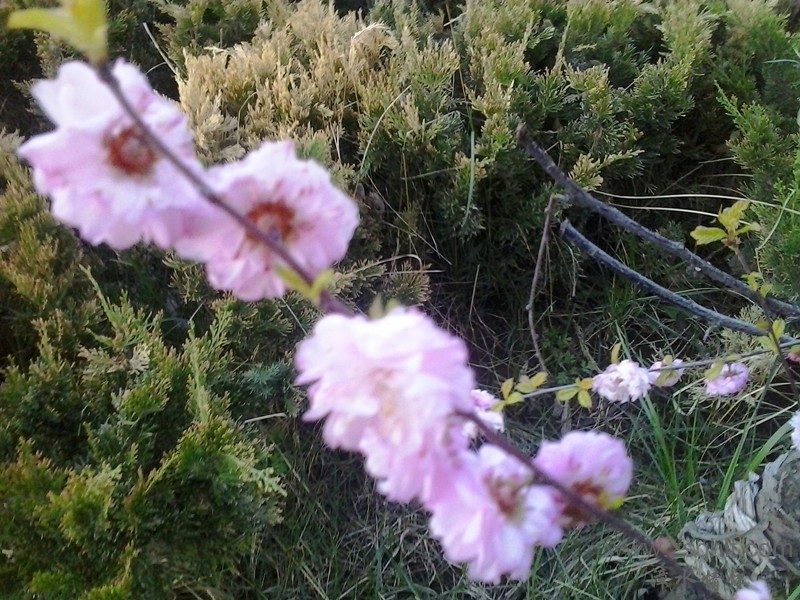 20140422_192129_.jpg