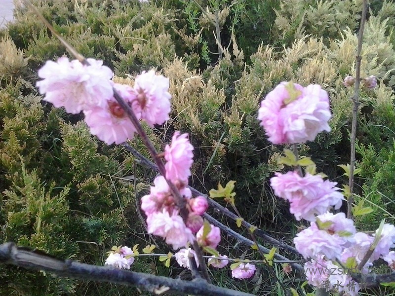 20140422_192140_.jpg