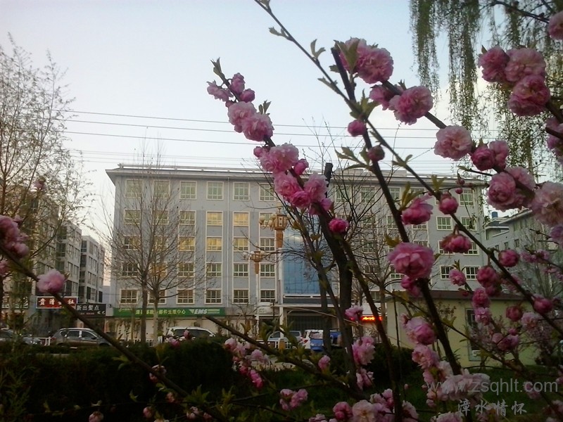 20140422_192220_.jpg
