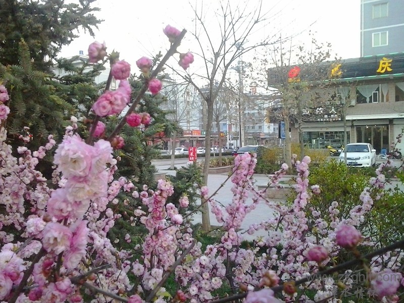 20140422_192314_.jpg