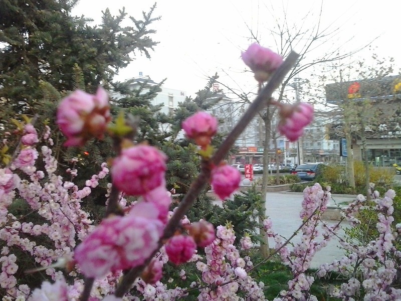 20140422_192327_.jpg