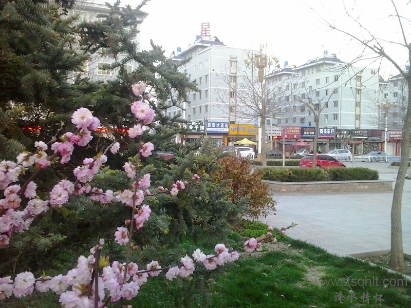 20140422_192354_.jpg