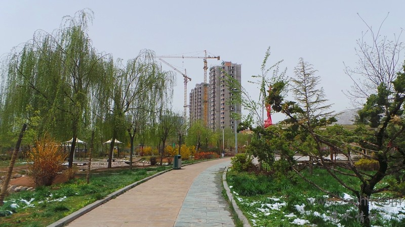 20140425_123602_.jpg