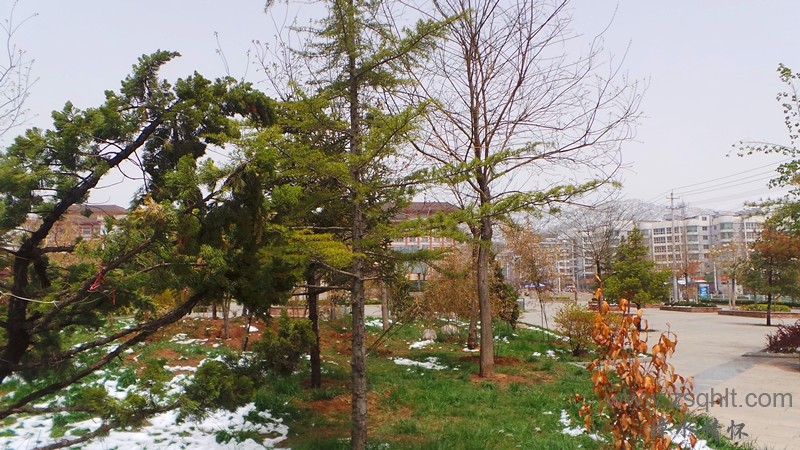 20140425_123617_.jpg