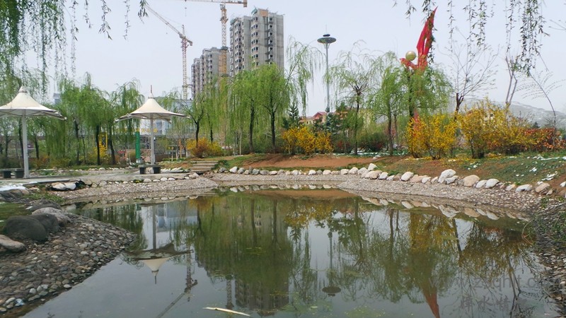 20140425_123729_.jpg