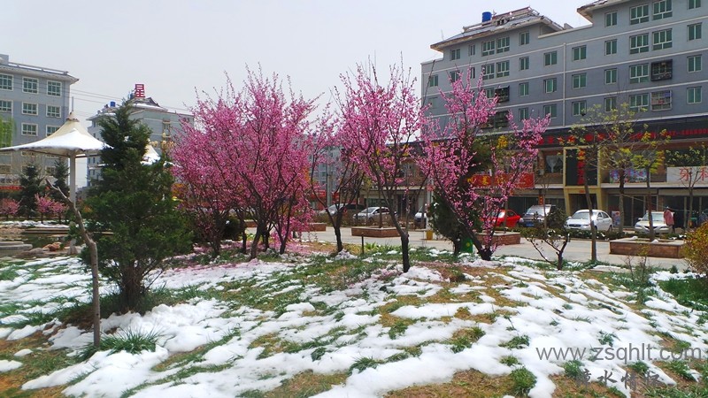 20140425_123901_.jpg