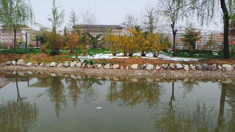 20140425_124005_.jpg
