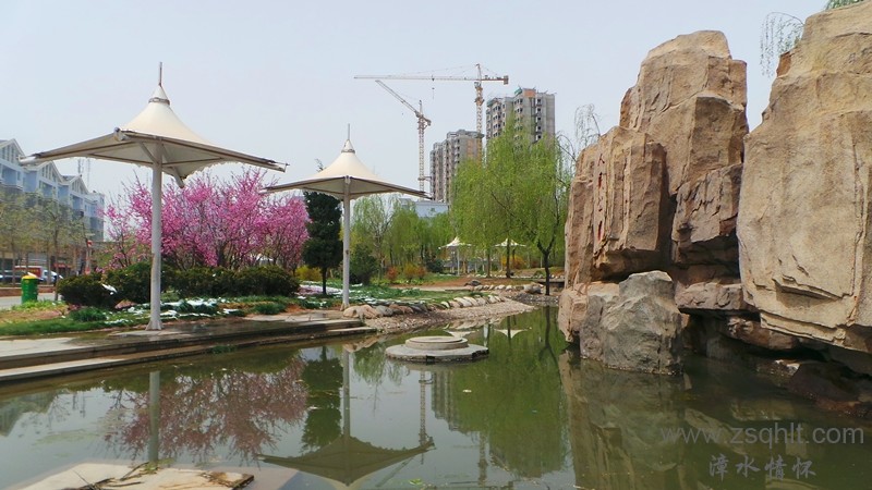 20140425_124234_.jpg