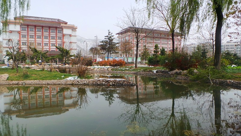 20140425_121659_.jpg