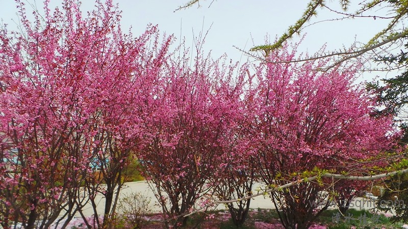 20140425_122250_.jpg