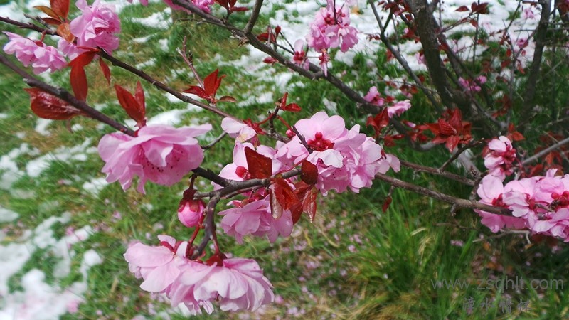 20140425_122451_.jpg