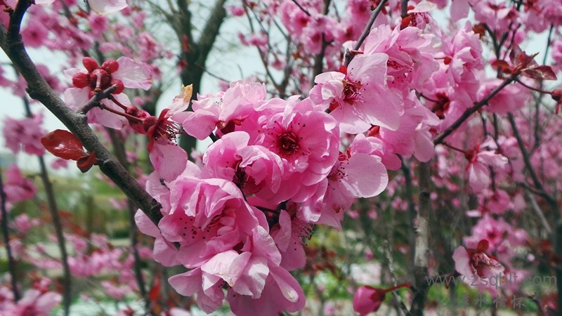 20140425_122505_.jpg